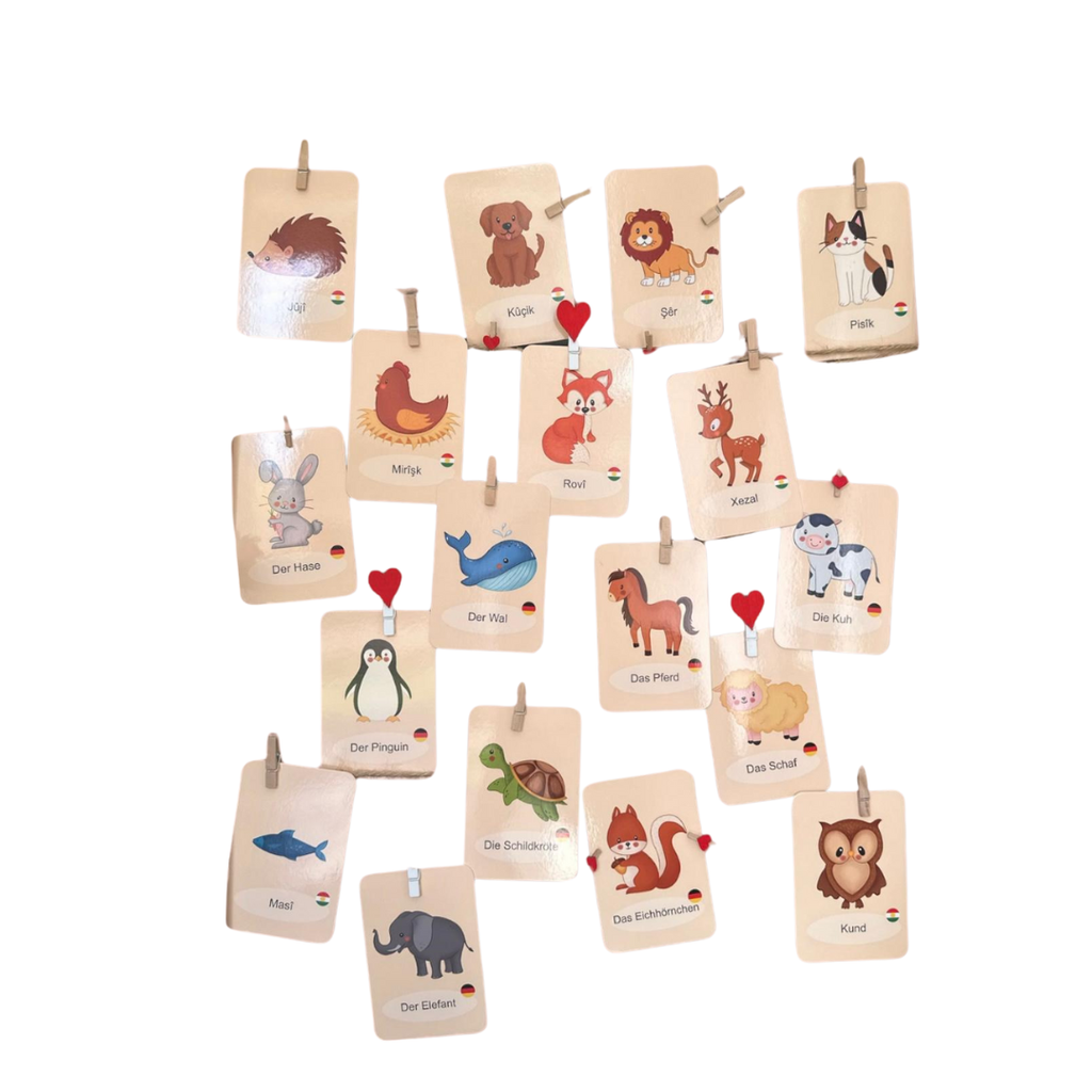 Animal flashcards